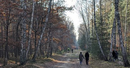 Mieszkańcy stolicy zamiast na cmentarze ruszyli do lasów i parków