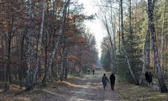 Mieszkańcy stolicy zamiast na cmentarze ruszyli do lasów i parków