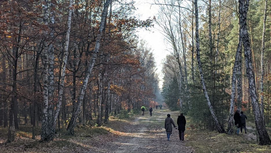 Wszystkich Świętych 2020. Mieszkańcy stolicy tłumnie odwiedzili warszawskie lasy