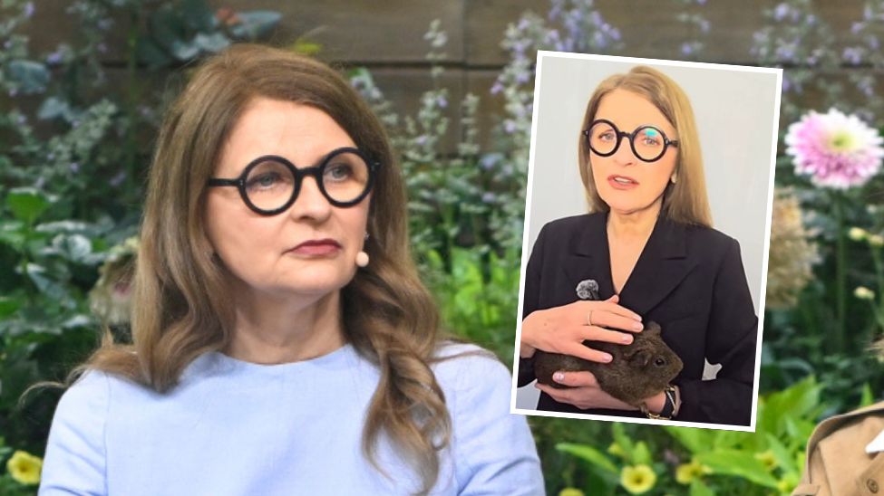 Apel Ireny Kamińskiej-Radomskiej ws. traktowania zwierząt