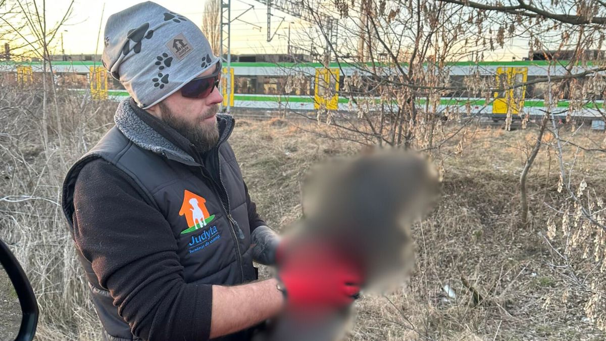 Znaleźli zamarzniętego psa.