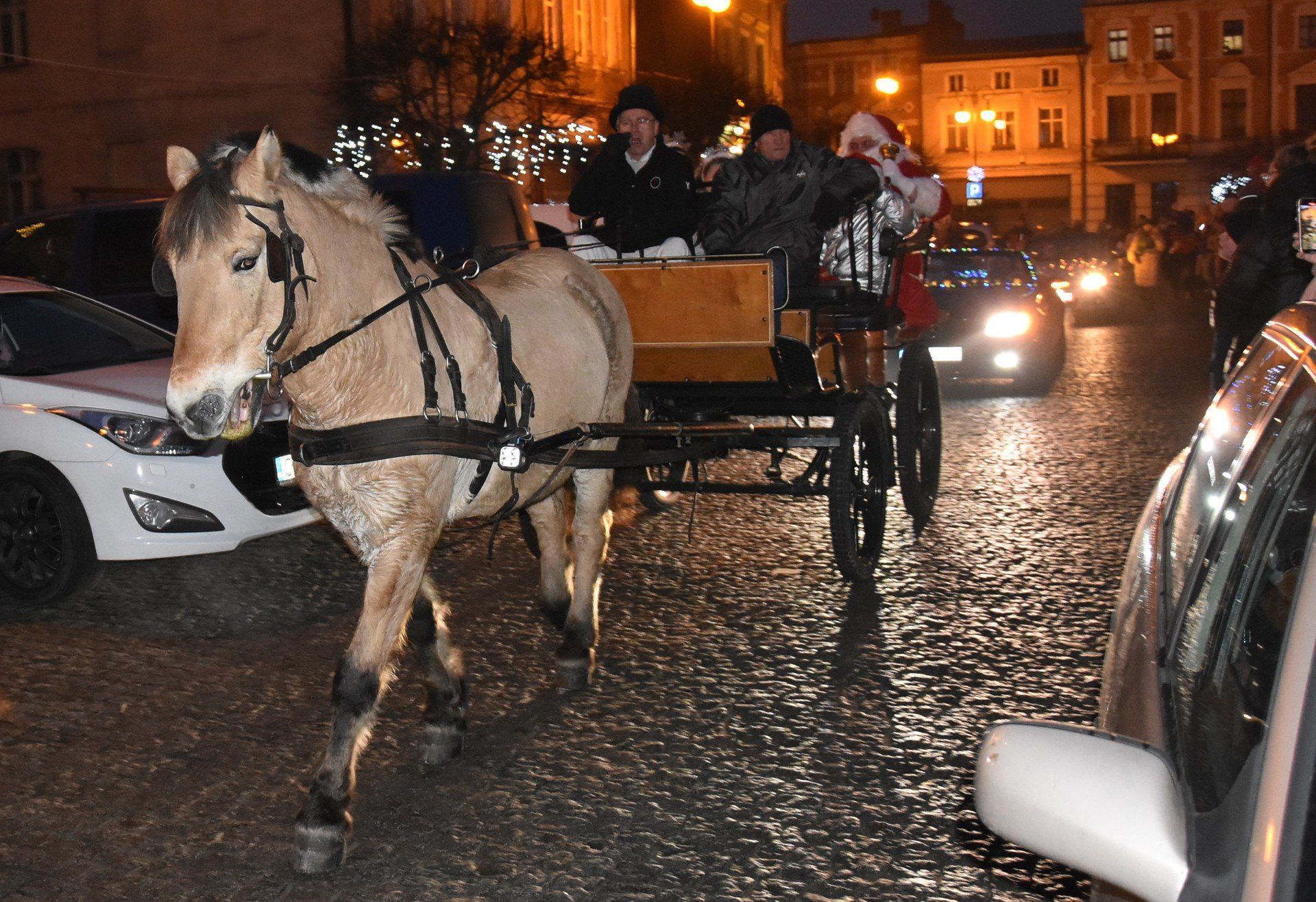 Tak było na I Jarmarku Świątecznym 2024 w Golubiu-Dobrzyniu