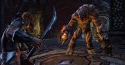 The Elder Scrolls Online nie ominie konsol nowej generacji