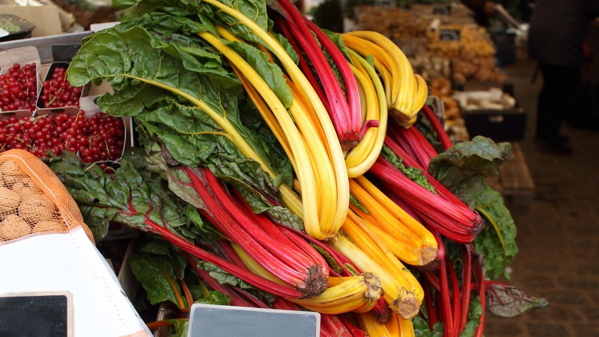 Zobaczyła cenę za rabarbar. Chwyciła za telefon 