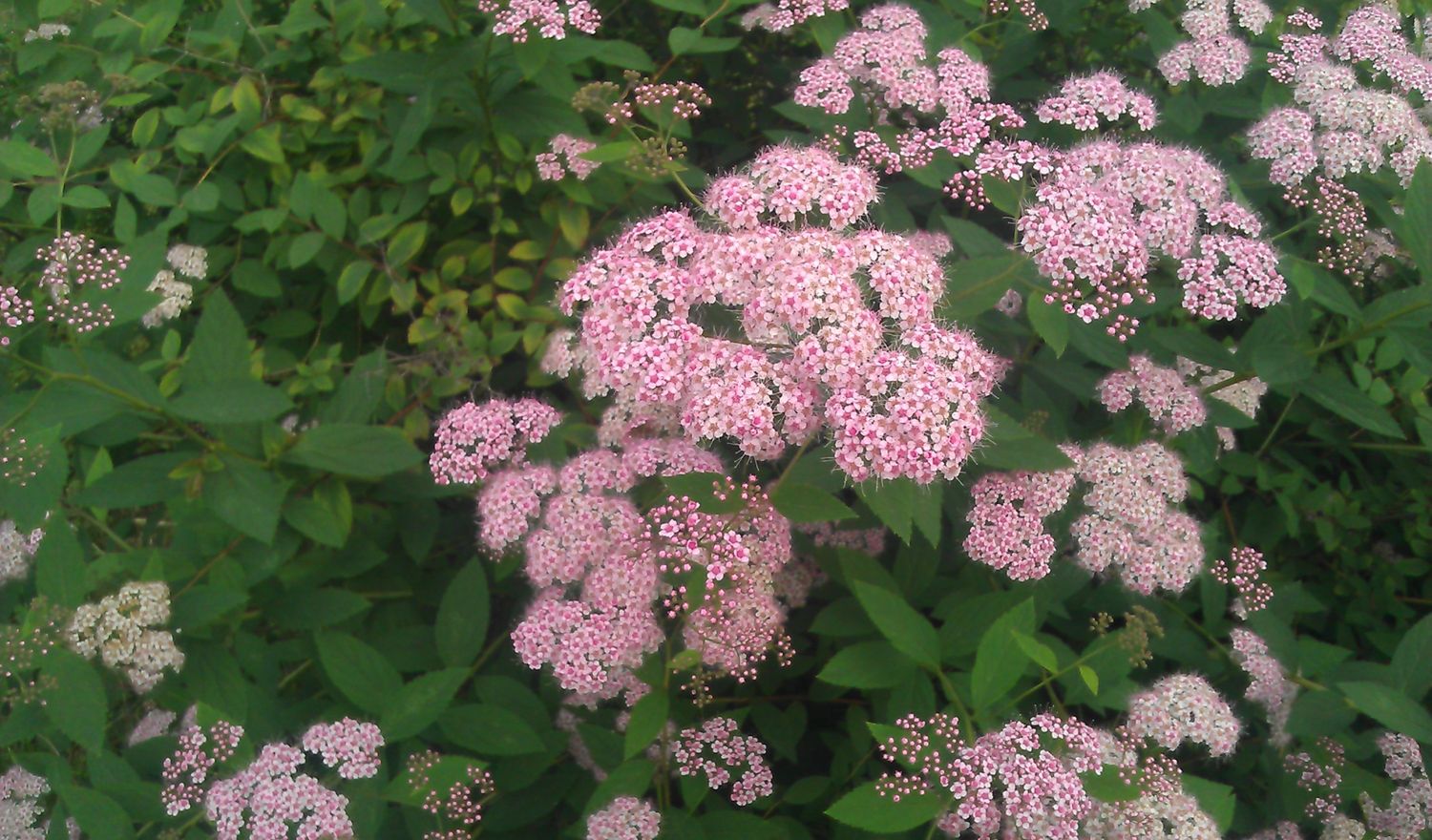 HTC Flyer – test 14