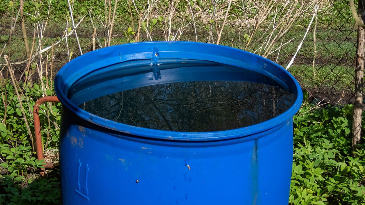 W Polsce rośnie zainteresowanie gromadzeniem deszczówki