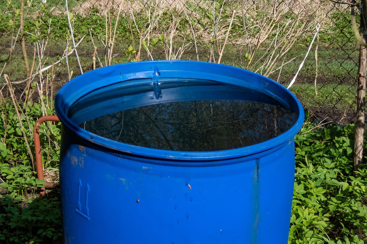 W Polsce rośnie zainteresowanie gromadzeniem deszczówki