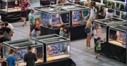 Exotic Fest w Poznaniu. Święto terrarystyki i egzotycznych pasji