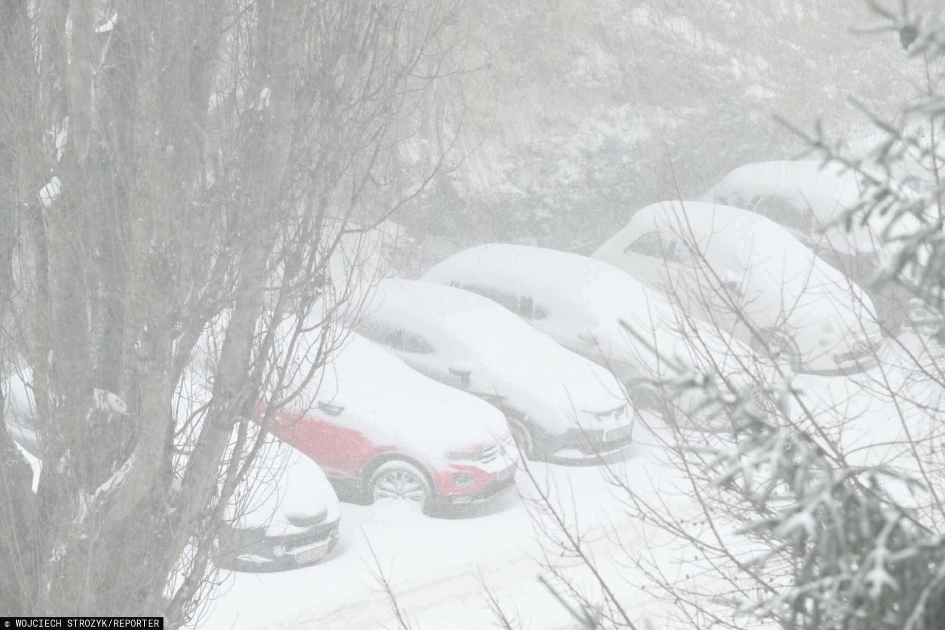 wiadomości,aktualności,WP Wiadomości Pomorze pod śniegiem. Karetki utknęły w zaspach, szkoły odwołały zajęcia przez pogodę