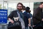 Michel Hazanavicius za kamerą komedii z Zakiem Galifianakisem