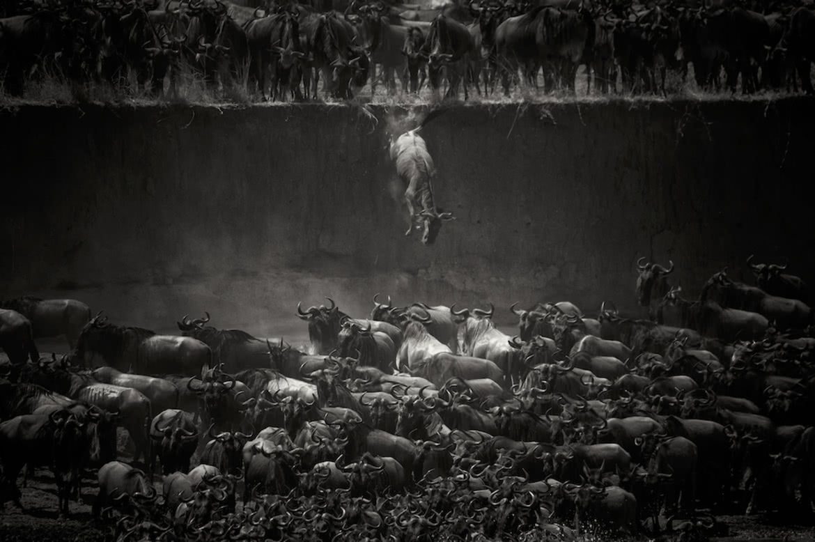 MonoVisions Photography Awards 2017. Polacy nagrodzeni wśród mistrzów fotografii czarno-białej 36