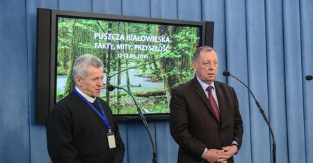 Wycinka drzew w Puszczy Białowieskiej. Jutro decyzja ministra