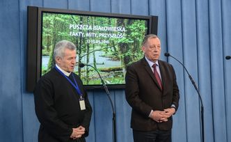 Wycinka drzew w Puszczy Białowieskiej. Jutro decyzja ministra
