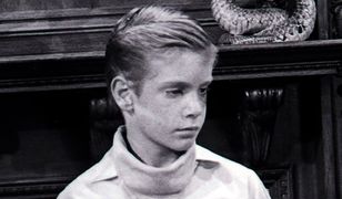 Kim Tyler nie żyje. Gwiazdor kultowego serialu "Please Don't Eat the Daisies" miał 66 lat