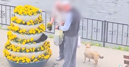 Amatorom miejskich bratków grozi 5 tys. złotych gryzwny