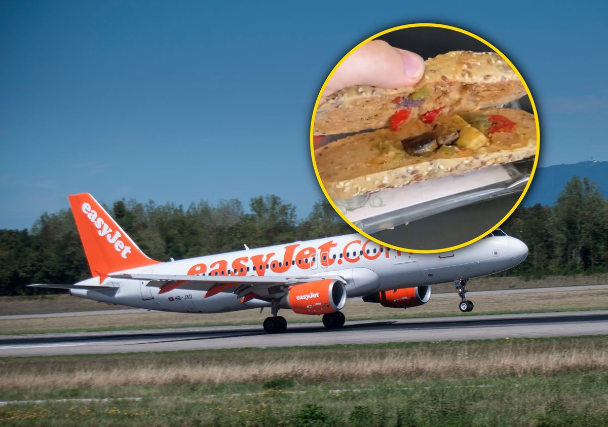 Pasażer pokazał, jaką kanapkę dostał w samolocie 
