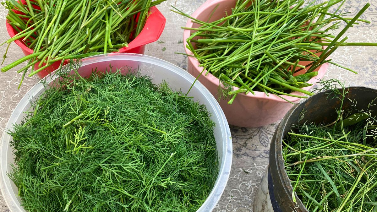 Koperek przerobiony tak, że nic się nie marnuje