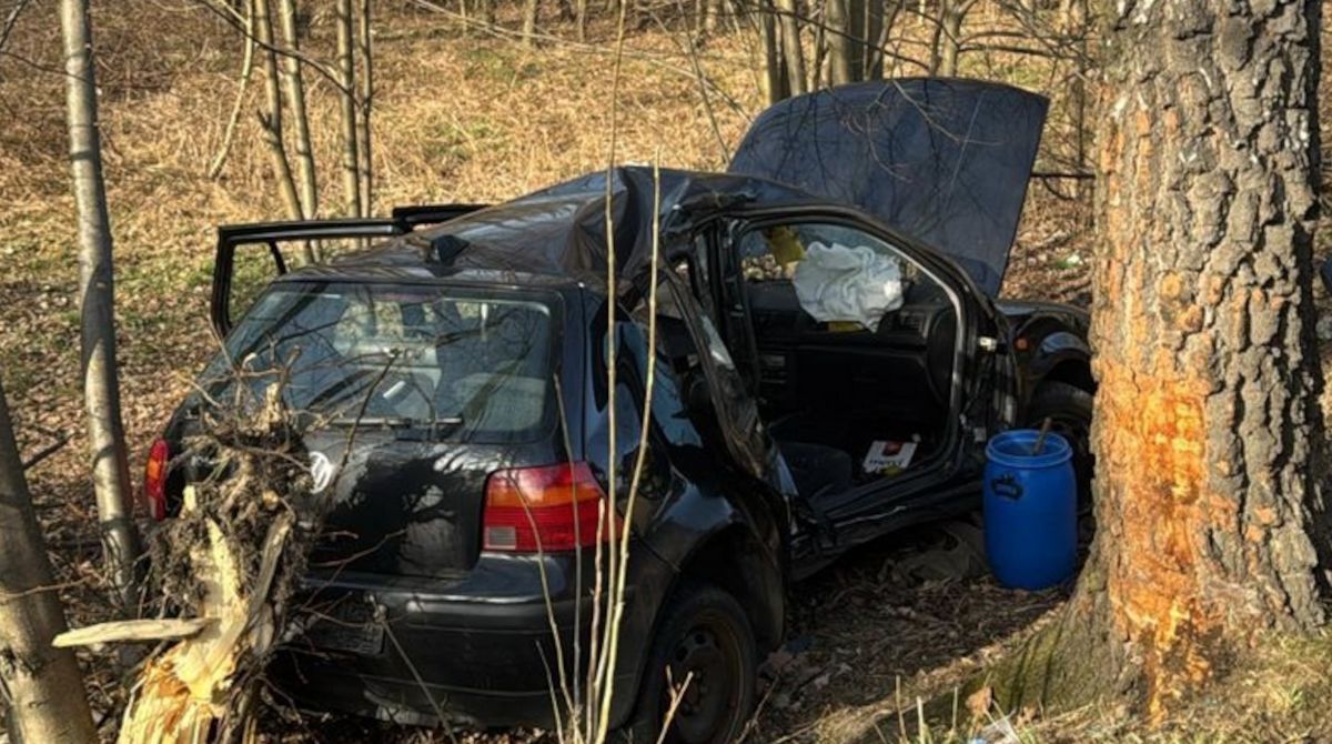 Volkswagen z trojgiem nastolatków roztrzaskał się na drzewie.