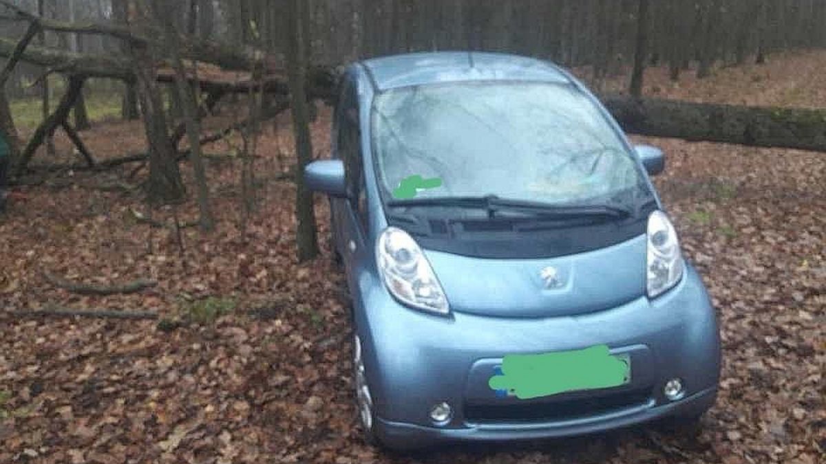 Ciechanowa Straż Leśna zatrzymała… ekozłodzieja. 