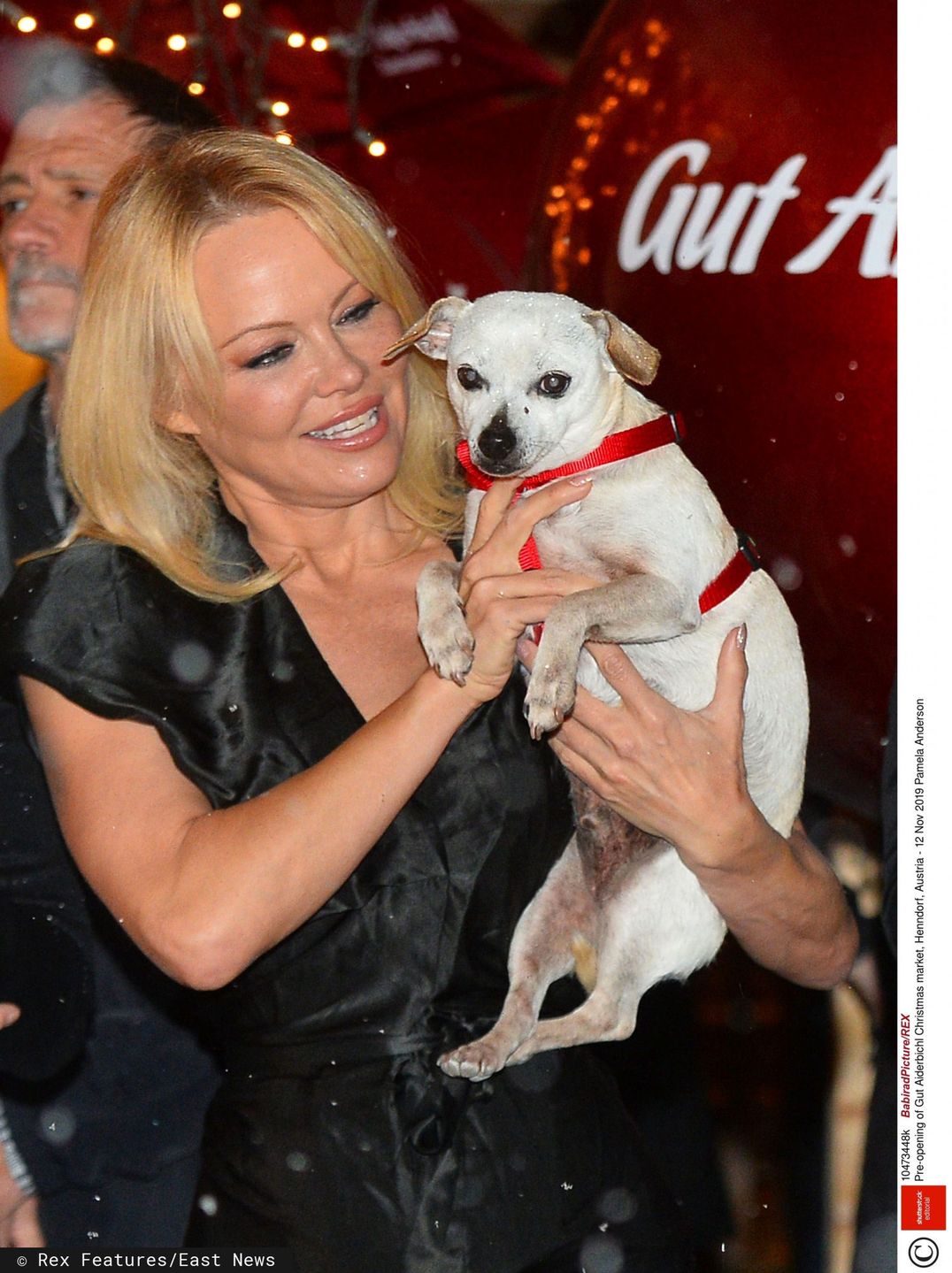 Pamela Anderson