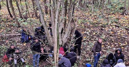 Poszedł na grzyby. Czech pokrzyżował plany imigrantów