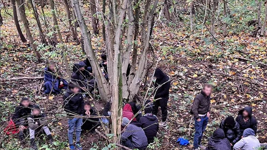 Imigranci znalezieni w lesie