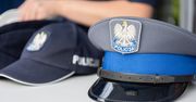Jednego dnia zatrzymali dwóch poszukiwanych. "Obaj zostali osadzeni"