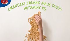Zdrowe zalety orzechów Felix promowane na kanałach VoD i na YouTube