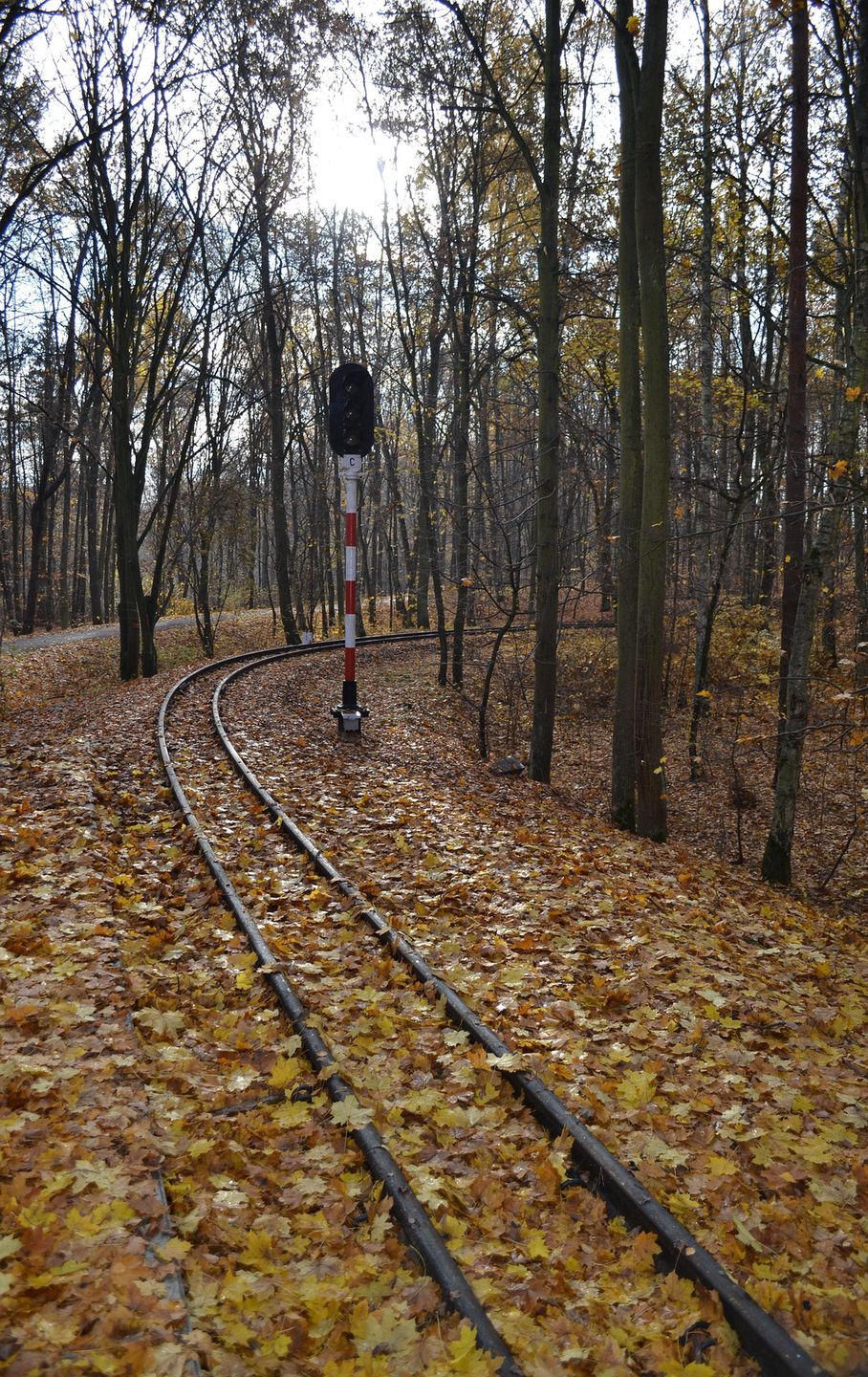 wąskotorówka