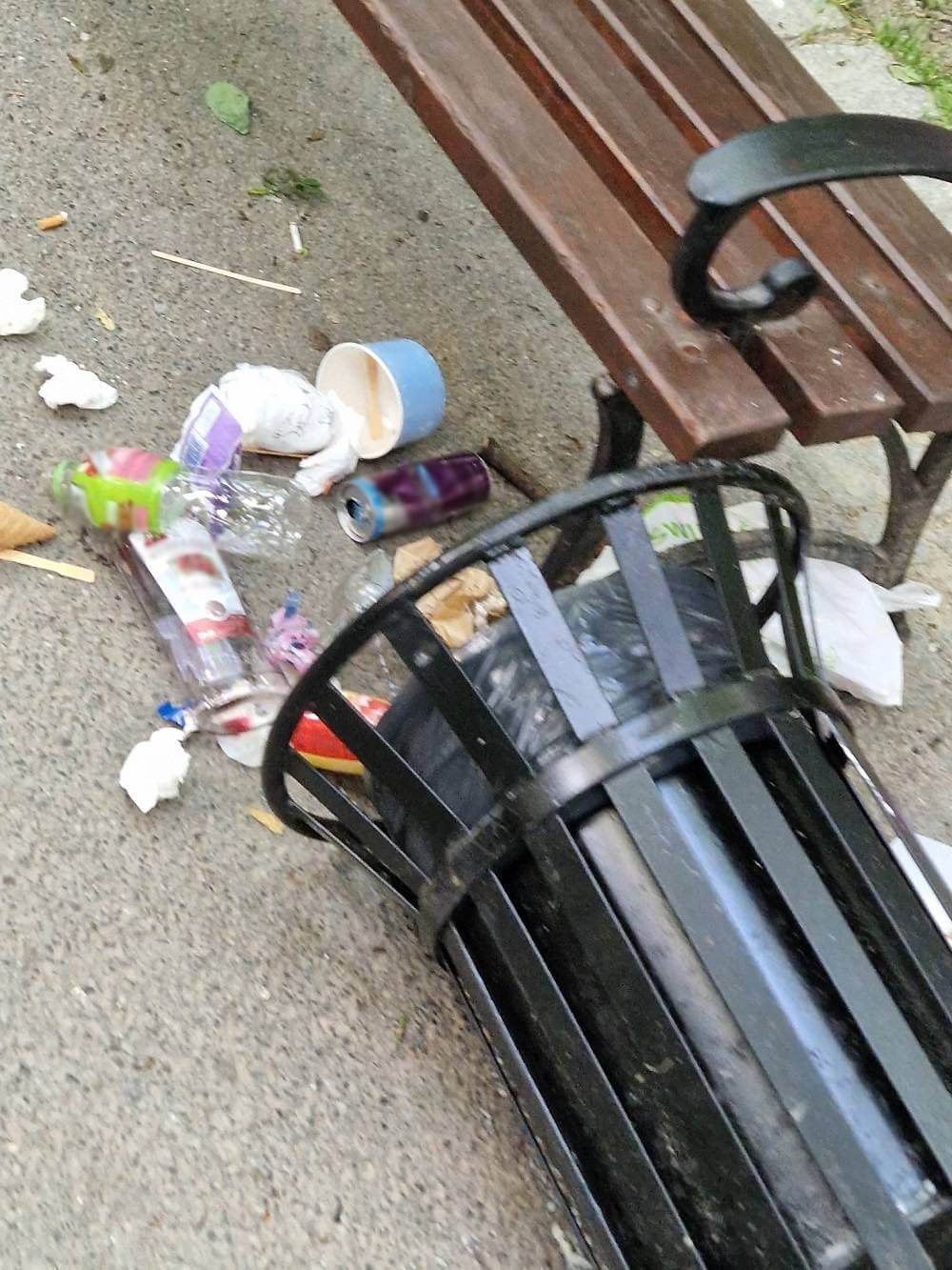 Młodzież przewróciła kosze na śmieci w Ogrodzie Saskim