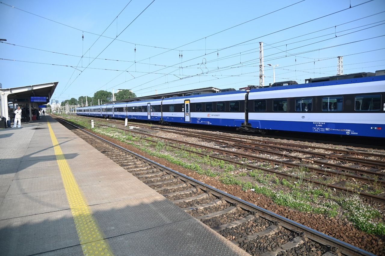 Bilet za 1 zł przyniósł efekt. Rekord dziennej liczby pasażerów