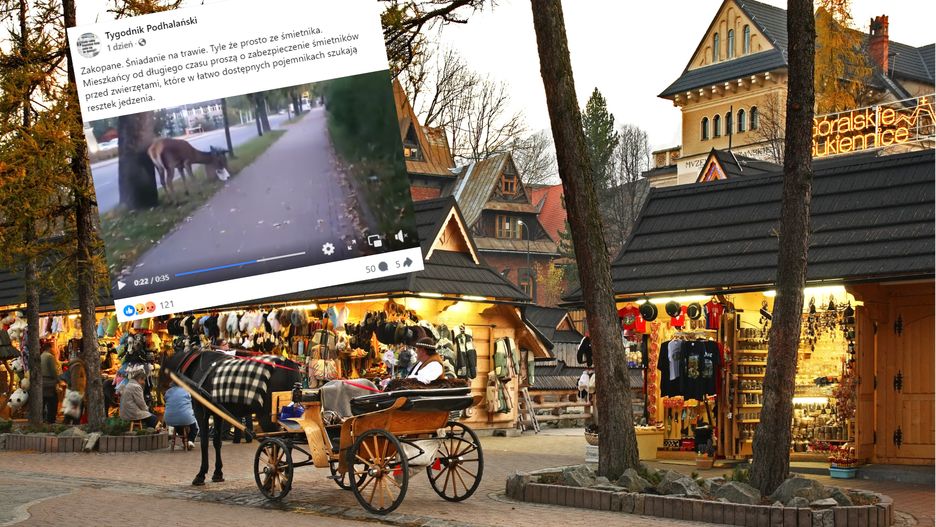 Takie sceny zobaczyć można w Zakopanem 