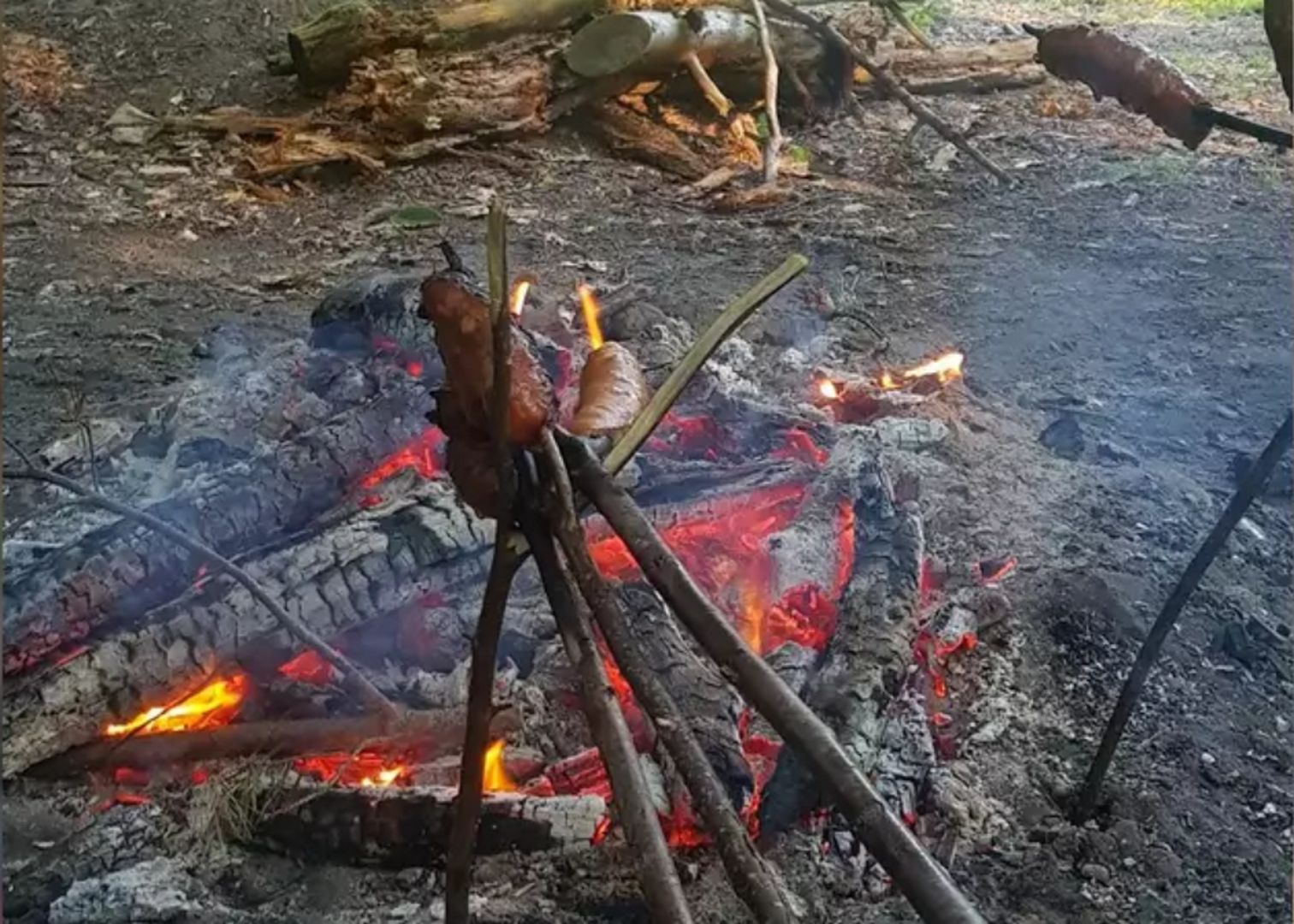 Przyłapani w lesie. Tak się tłumaczyli