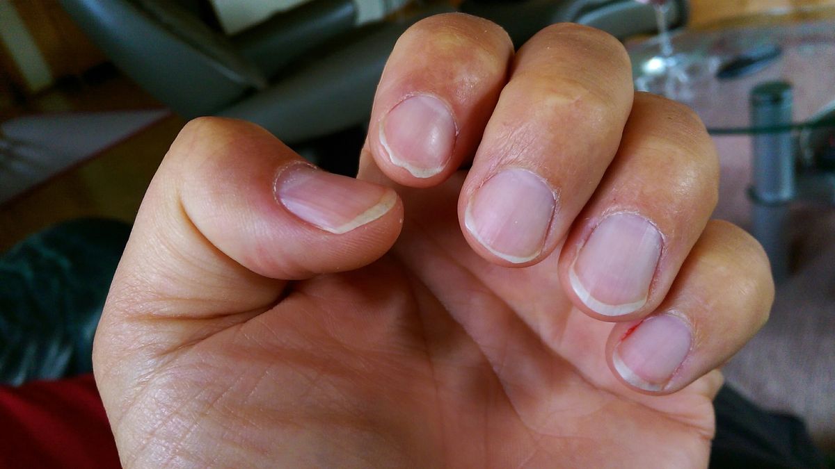 Close-Up Of HandMatthias Häberlein / EyeEmClose-Up, Focus On Foreground, High Angle View, Human Body Part, Human Finger, Human Hand, Human Nail, Indoors, Leisure Activity, Lifestyles, Nature, One Person, Personal Perspective, Real People, Unrecognizable Person