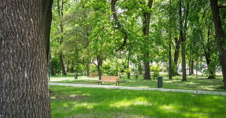 Koniec wielkiego remontu na Bronowicach. Park otworzy się na wakacje