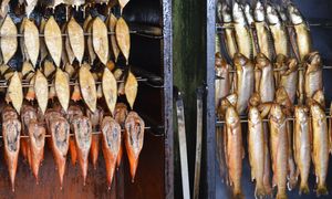 W Japonii jest zakazana. GIS opublikował zalecenia dla Polaków