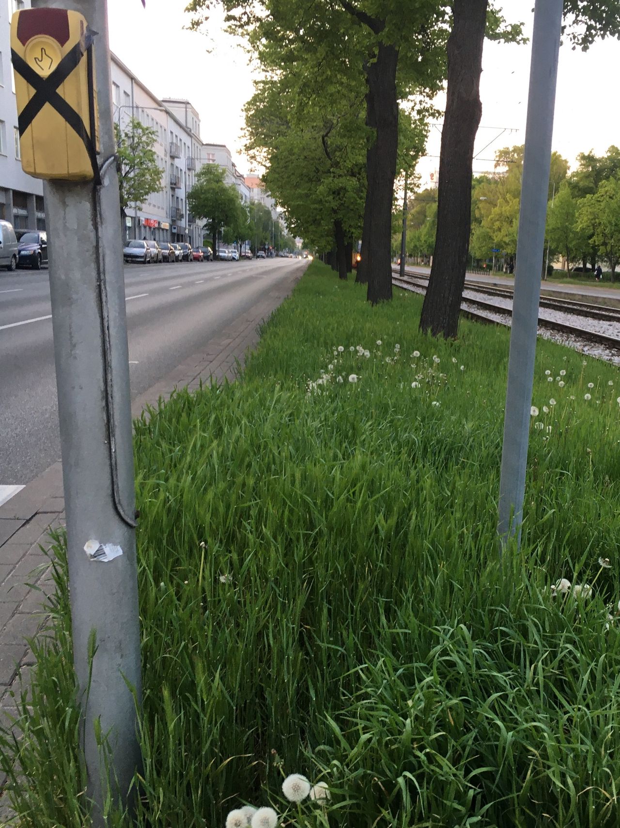 Warszawa. Kosiarki poszły w ruch. Spółdzielnie koszą trawniki