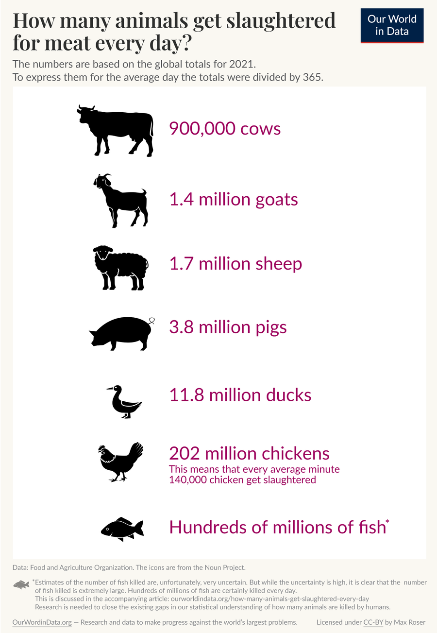 We kill hundreds of millions of animals each day