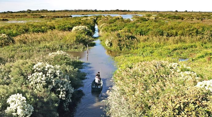 Camargue