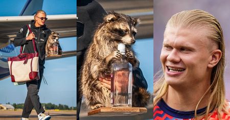 Erling Haaland wrócił z USA z kolekcją torebek wartą niemal 500 TYSIĘCY ZŁOTYCH i... wypchanym szopem (FOTO)