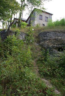 Obraz