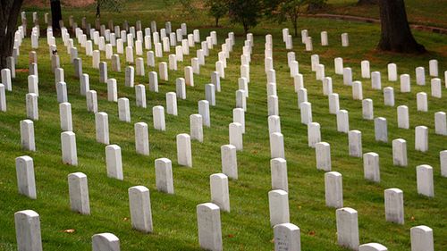 Fot. na licencji Creative Commons; Flickr.com/by Justo's Photography