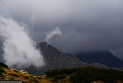 Groźne burze w Tatrach. Piorun zabił stado owiec