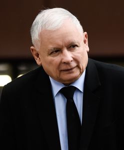 Mówili o fałszerstwie. Poseł PSL nie gryzie się w język na temat PiS