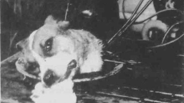 Szalone pomysły radzieckich naukowców 1