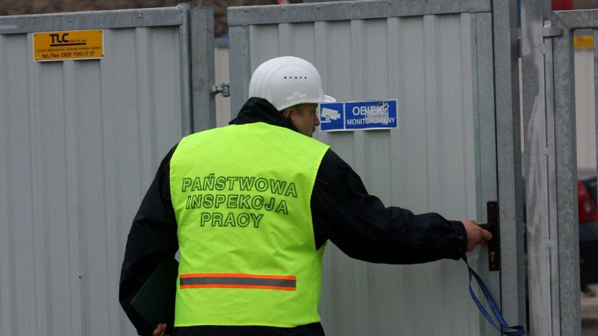 Państwowa Inspekcja Pracy