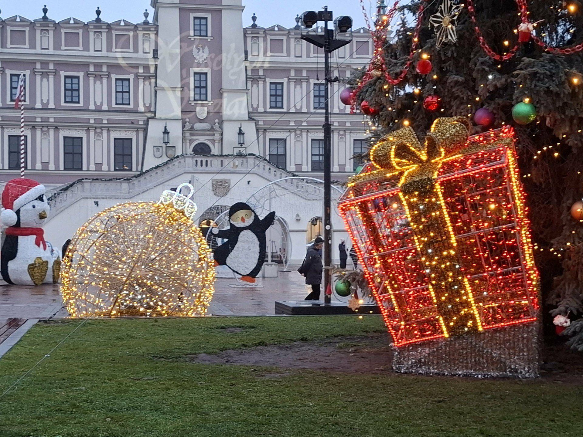 Świąteczne dekoracje na zamojskim Rynku Wielkim