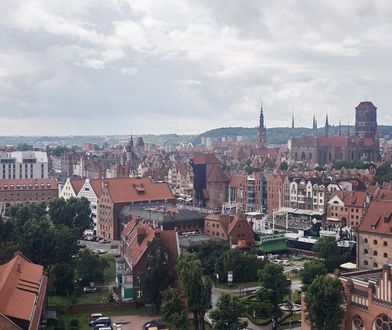 NARRACJE 12. w Gdańsku. Znamy datę