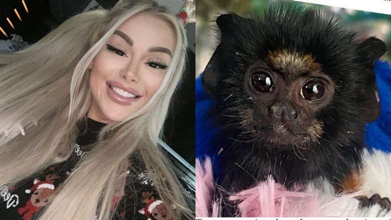 Ewel0na opowiada o nowej małpce