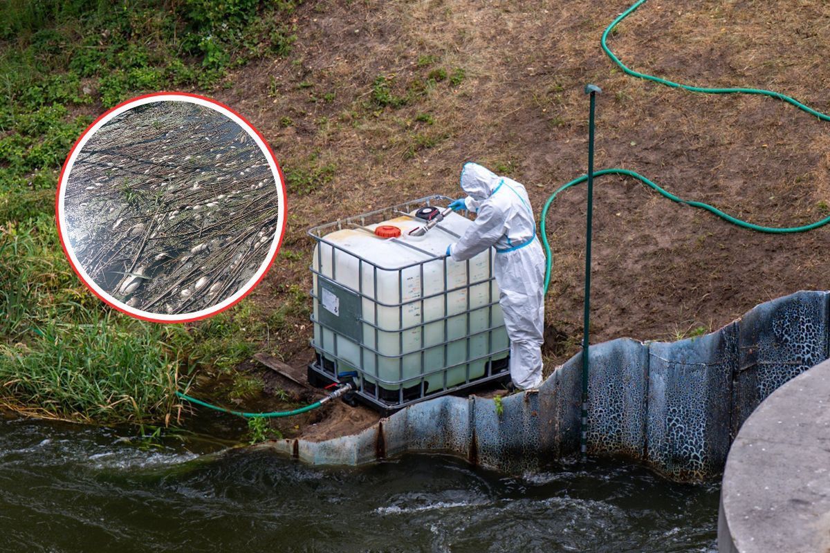 Problem wraca jak bumerang. Na Śląsku wprowadzono zakaz